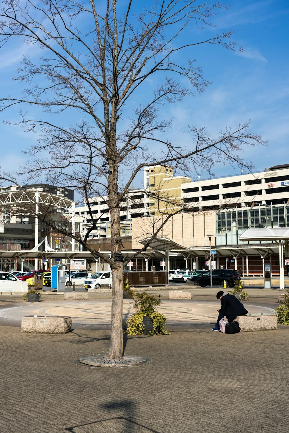 Urban development project